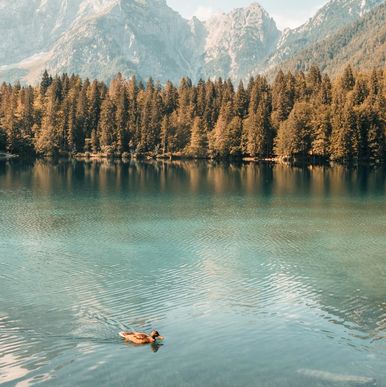 Crafting Moments into Fun Keepsakes